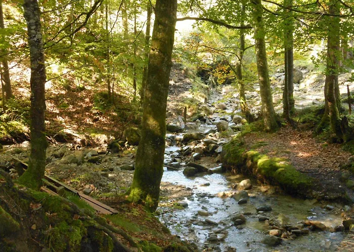 Lejlighed Allgaeustueble *